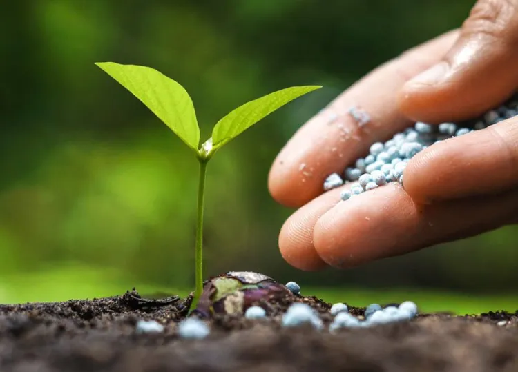 cropped-fertilizer